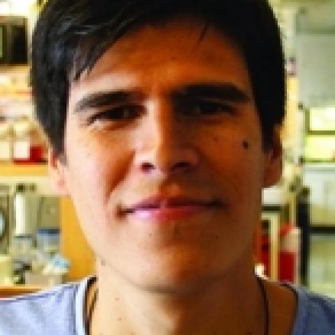 Felipe Garcia Quiroz's profile picture