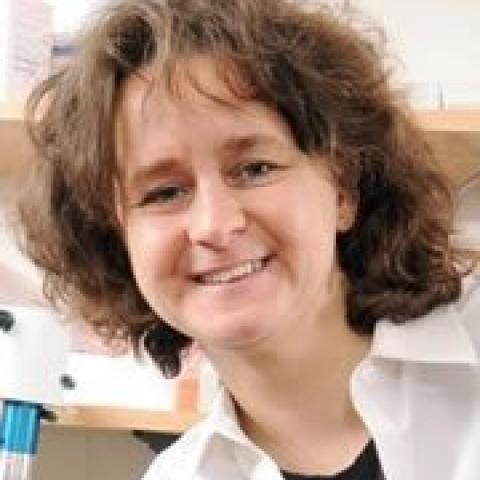 Francesca Storici's profile picture