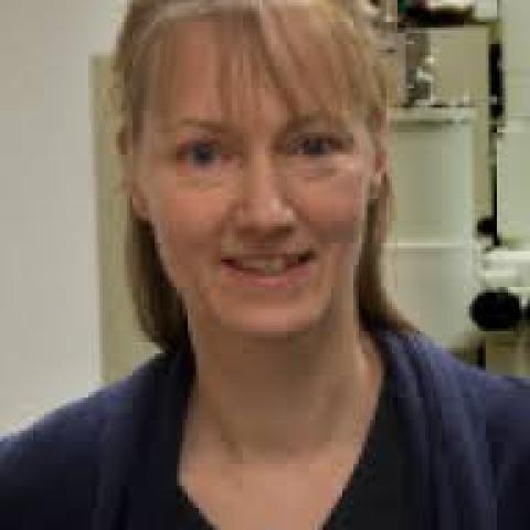 Ingeborg Schmidt-Krey's profile picture