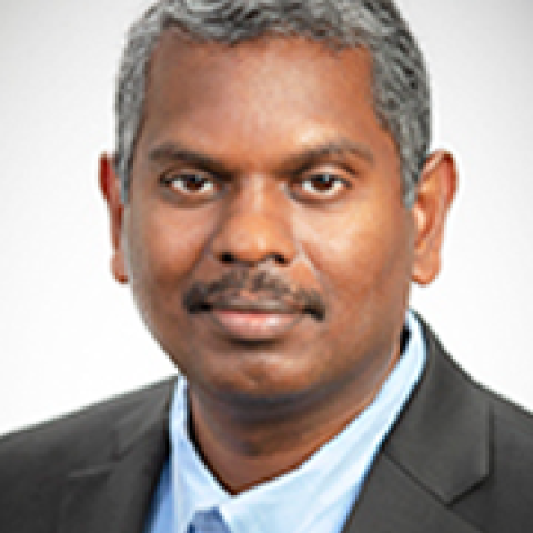 Lakshmi Dasi's profile picture